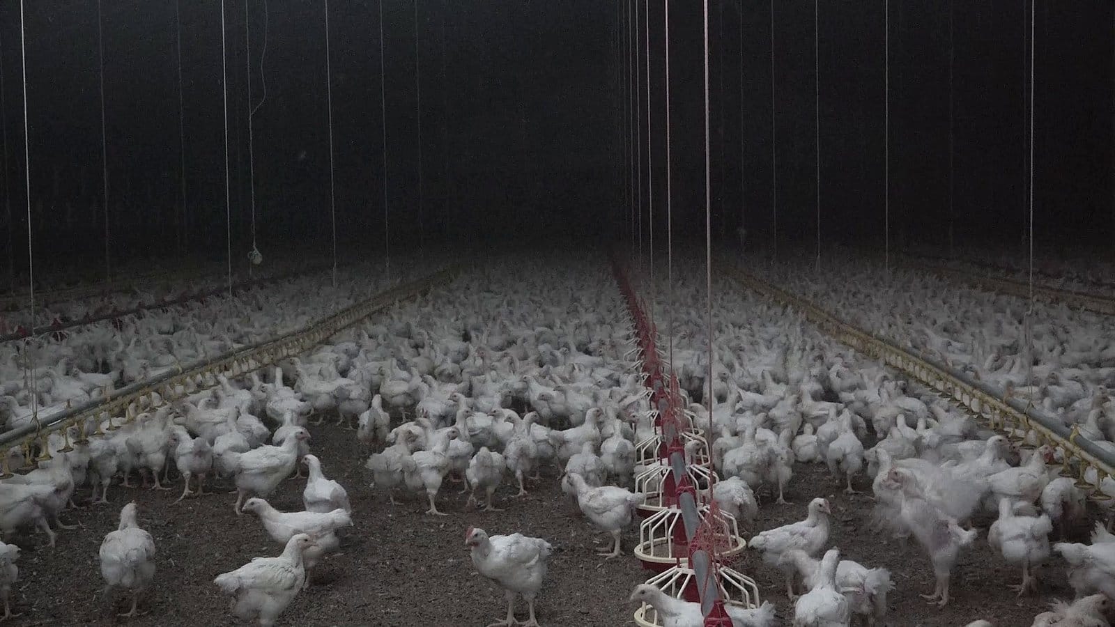 Ontheffingen zijn schering en inslag.